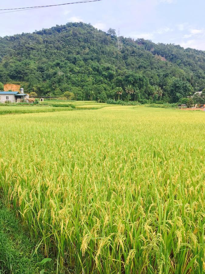 Royal Hotel Ha Giang Buitenkant foto